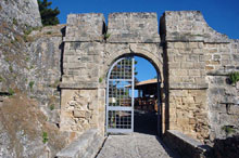 Μεγέθυνση