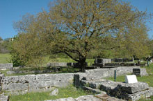 Μεγέθυνση