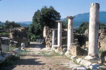 Μεγέθυνση